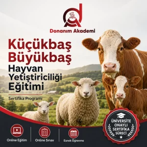 Küçükbaş Büyükbaş Hayvan Yetiştiriciliği Eğitimi Sertifikası